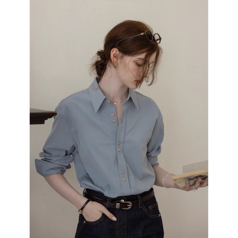 French Style Simple Commuter Elegant Blue Shirt Women's Autumn and Winter Design Sense Back Embroidered Top Stacked Inner Shirt