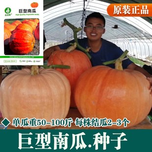 �����ϹϷN�Ӵ��ϹϷN������Ʒ�N�^�pʳ���ļ������߲˷N���߲���