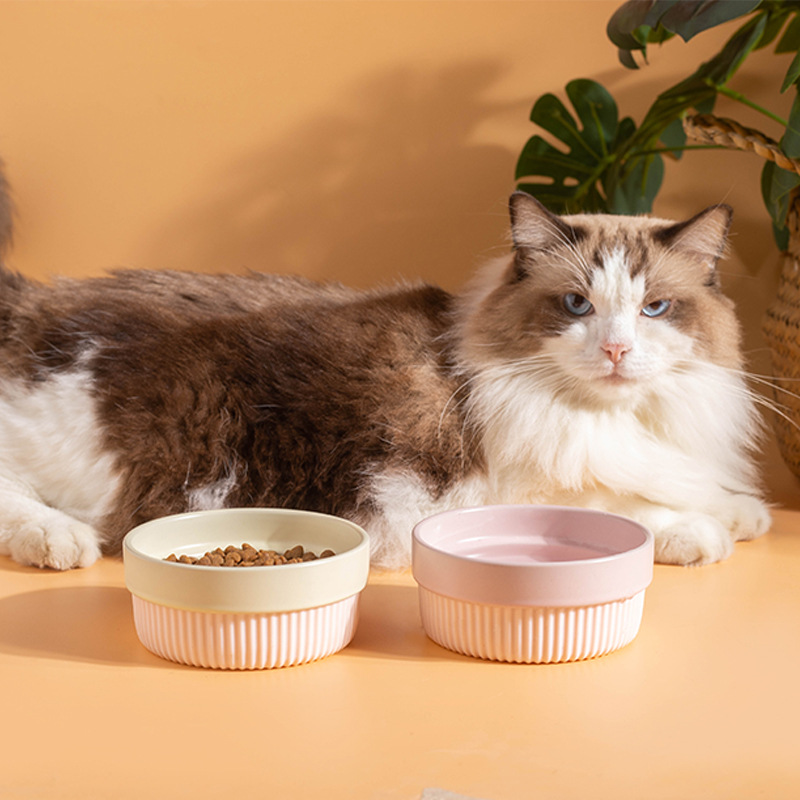 Tazón de cerámica para gatos, tazón de comida para gatos, tazón de comida para perros, tazón de arroz para gatos, tazón de agua de gran calibre, tazón antideslizante, artículos para mascotas a prueba de volcar