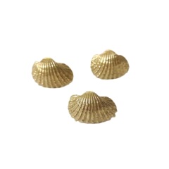 Brass shell drawer door wardrobe shoe cabinet storage cabinet wine cabinet handle handle
