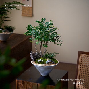 ����ǧ���҃��辰�lؔ��С�~��̴�����ͶYľ���Ծ�Ʒ������B����