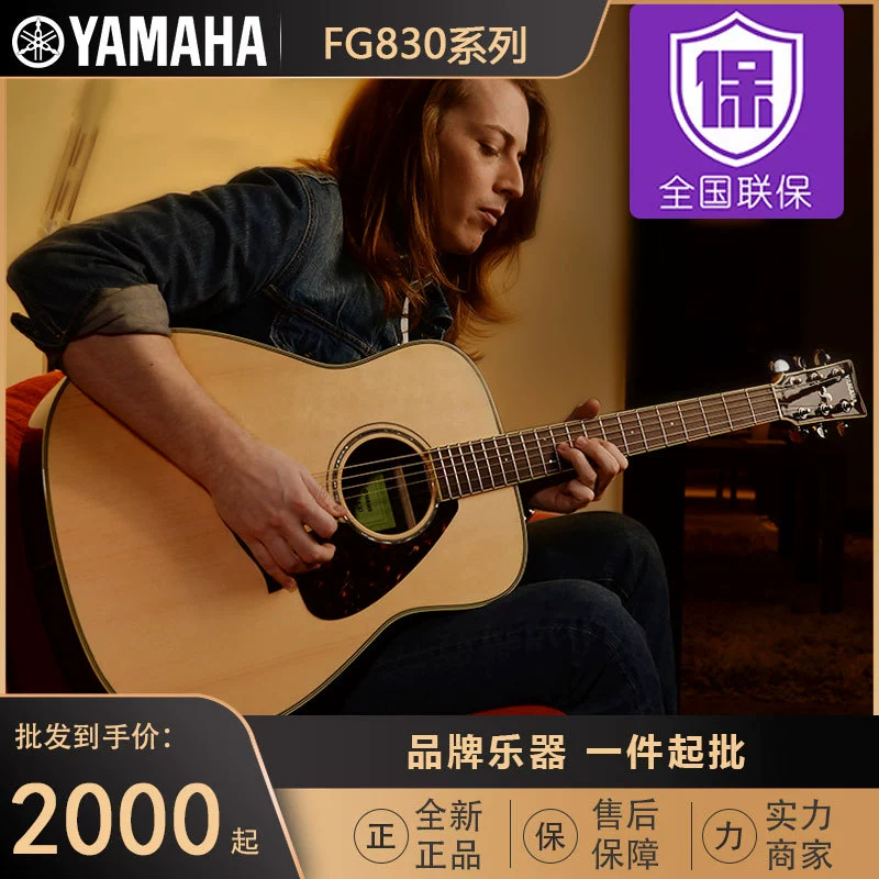 FG830 / 850 Vancouver Folk Guitar FGTA plus Shock Electric Box Finger Playing Guitar 40/41