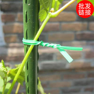 Plastic-coated ribbon wire binding wire gardening bonsai fixed binding rope binding wire 50 m 20 m