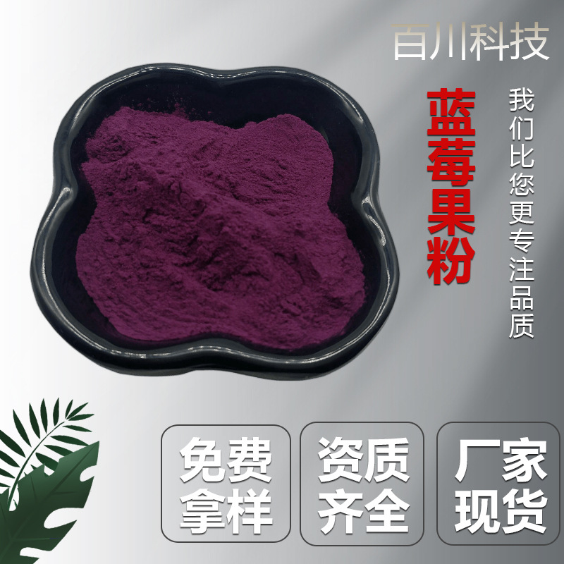 蓝莓果粉 水溶性蓝莓果汁粉 蓝莓花青素25% 食品原料果蔬汁粉