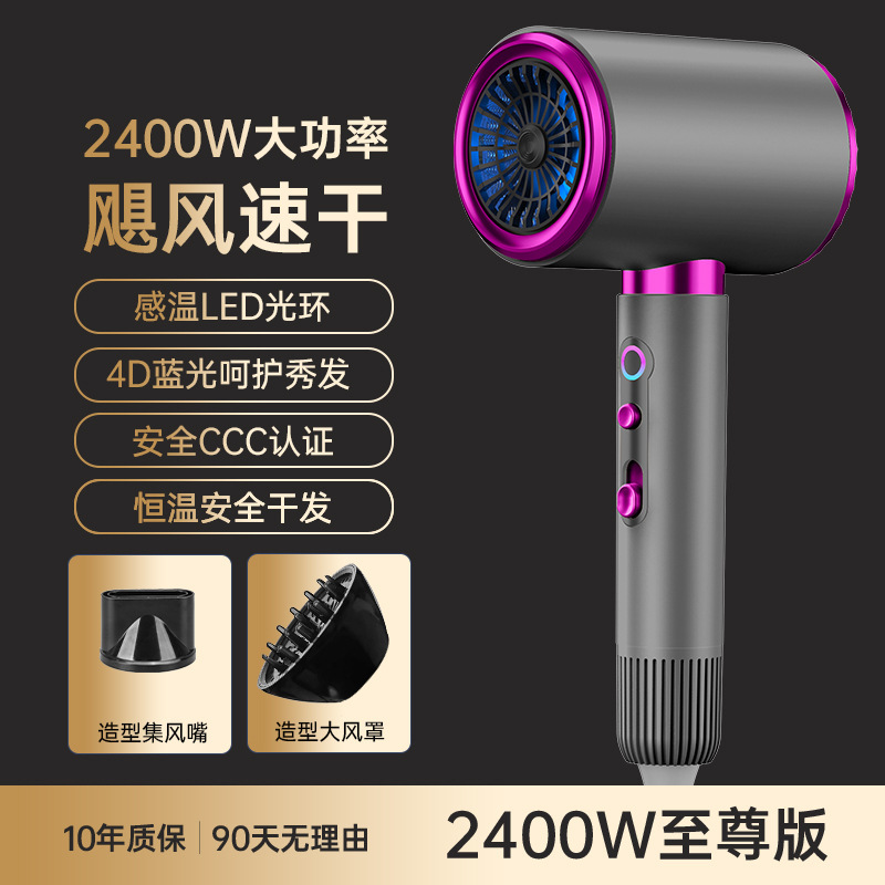 アマゾンクロスボーダー高速ヘアドライヤーハイパワー家庭用ヘアドライヤーギャラリー専用ブルーレイ冷熱風ブロー筒|undefined