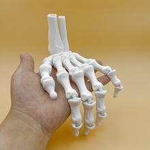 3D打印人体手关节模型手骨尺骨桡骨模型手足外科骷髅手掌摆件道具