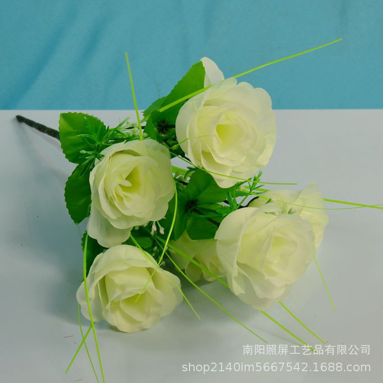 7头孔雀玫13.jpg
