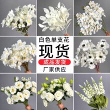 ��ɫϵ���滨�Ļ�Y�b�Y�ò��üҾӼٻ����佁�����컨���l