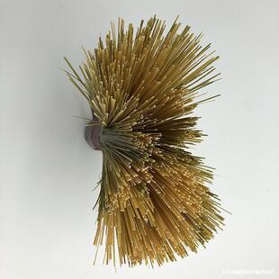 ������ʽ��ˢ���ֹ�����ϴ�ˢ�N���Ƶ�������Ȼ��ˢ��ëˢ�