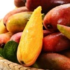 Hainan Sanya Pepper fresh Mango Mango Season fruit wholesale One piece On behalf of