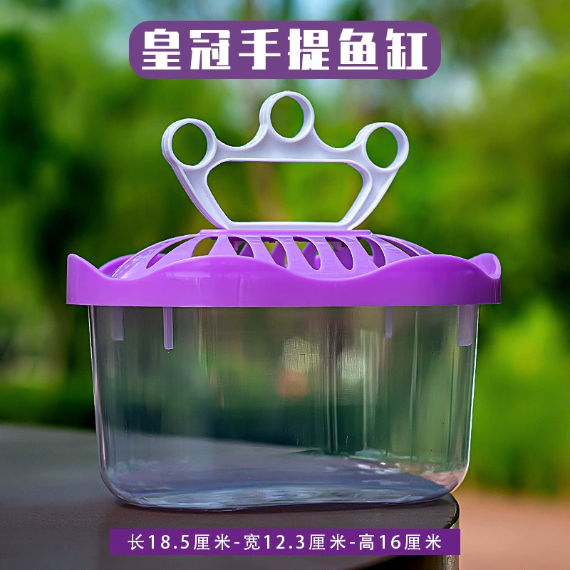 Transparent plastic pet box / small aquarium, portable ventilated tank, multiple sizes 10×7.5–39×28×17 cm