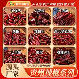 干辣椒;辣椒酱;其他调味品