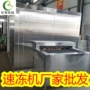 隧道式冷冻速冻液氮速冻机