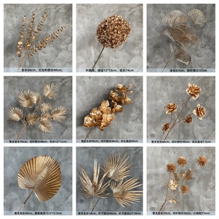 ��ɫ���滨������������Ͱ�b�ˇ���Ϸ����ȼ����y���~�����m��