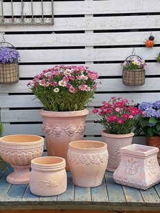 ���f�͹��F���׼t���ֹ��軨�@�̨ͥԺ���ܷNֲ͸�����ô��ջ���