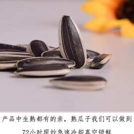 生瓜子葵花子散装5斤新货葵花籽瓜子炒货新鲜现炒大粒原味熟瓜子