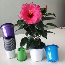 ���ϻ����pɫ��������С�������Gֲ�pɫ����S�ҼӺ��̨͸��