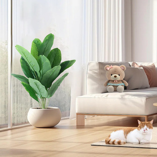 ����ֲ��18�^���˽������B���W��Ž��~�Ҿӿ͏d���Ԕ[���Ƶ�Gֲ