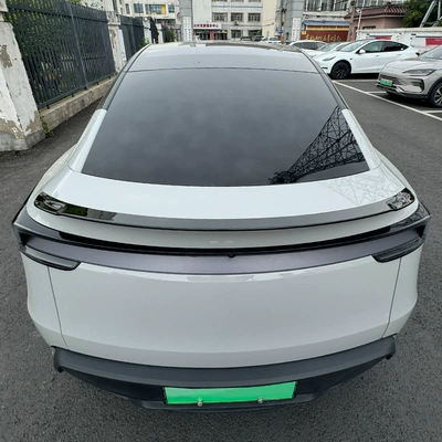 Tesla Model Y, the | Fixed wind wing