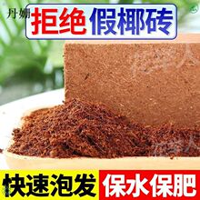 ���ݰlҬ��Ҭ�u�I�B���B���I�B��ͨ����Ó�}�N���N��Ҭ���u��