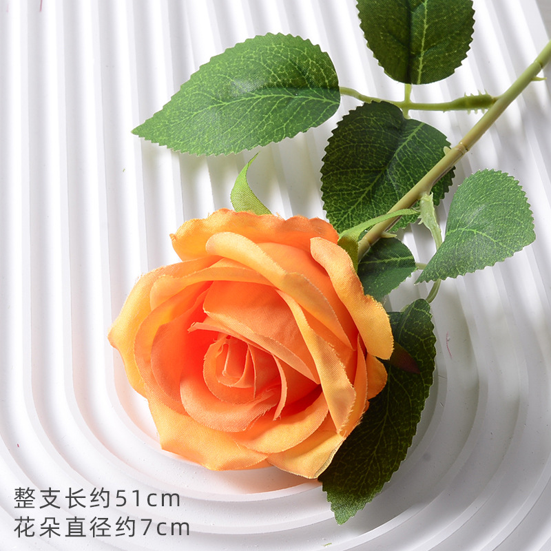 珍珠玫橘黄（绢布版）