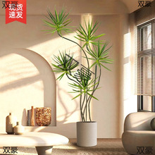 ��Ѫ�����ԾGֲ�҃ȴ��Ϳ͏d���辰���^���F����횘��k����ֲ�y�R