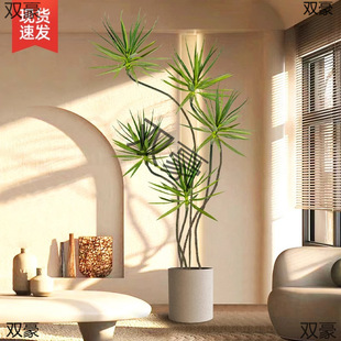 ��Ѫ�����ԾGֲ�҃ȴ��Ϳ͏d���辰���^���F����횘��k����ֲ�y�R