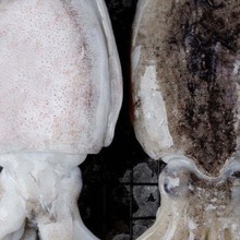 ���r��ī�~������ī�~�г���̖���ˮ�a���r����\Ŀ�~ī���~��S