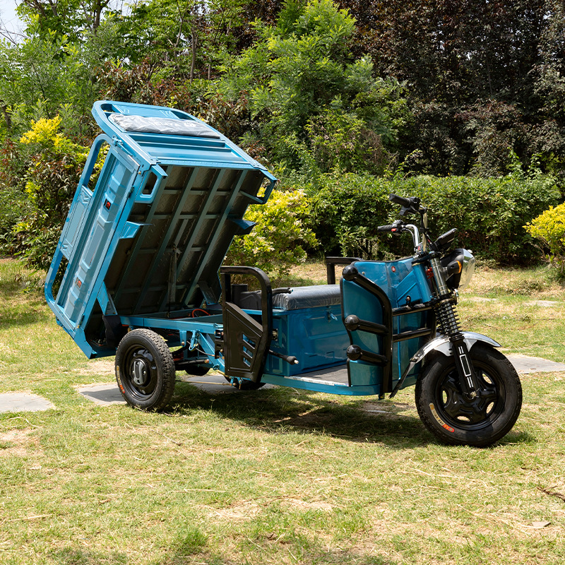 1.5 Mixiang No.1 triciclo eléctrico de carga de transporte de carga para personas, vehículo eléctrico de doble propósito, vehículo agrícola doméstico de triciclo desnudo