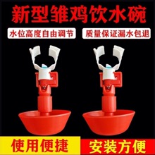 新型雏鸡自动饮水碗鸡鸭鹅育雏水碗接水杯鸡苗饮水器畜牧养殖设备