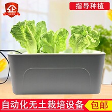 ˮ���߲˷Nֲ�� �̨�N�� �o�������O��ˮ����ݮֲ�����ϻ���