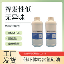 �͓]�l�ͭh�w�˺����������L����X����z����LED ���b����