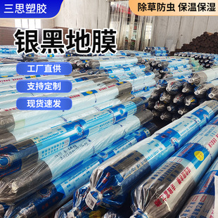 Manufacturer Wholesale Greenhouse Film Silver Black Mulch Film Greenhouse Vegetable Special Film Greenhouse Agricultural Insect-Proof Plastic Film