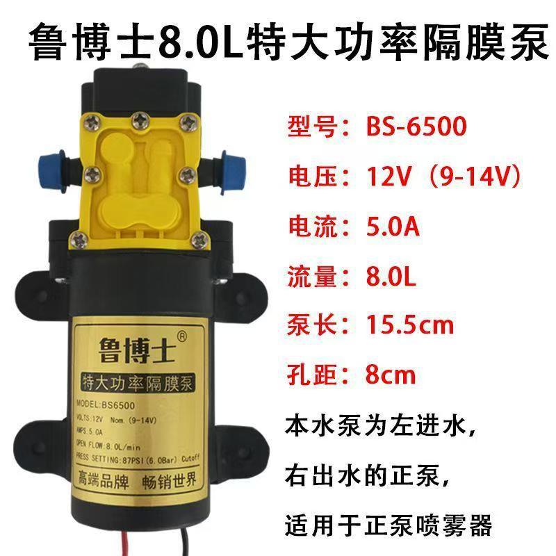 Pulverizador eléctrico agrícola bomba de agua bomba de diafragma 12V pulverizador de alta potencia bomba de agua especial bomba de agua eléctrica de alta presión