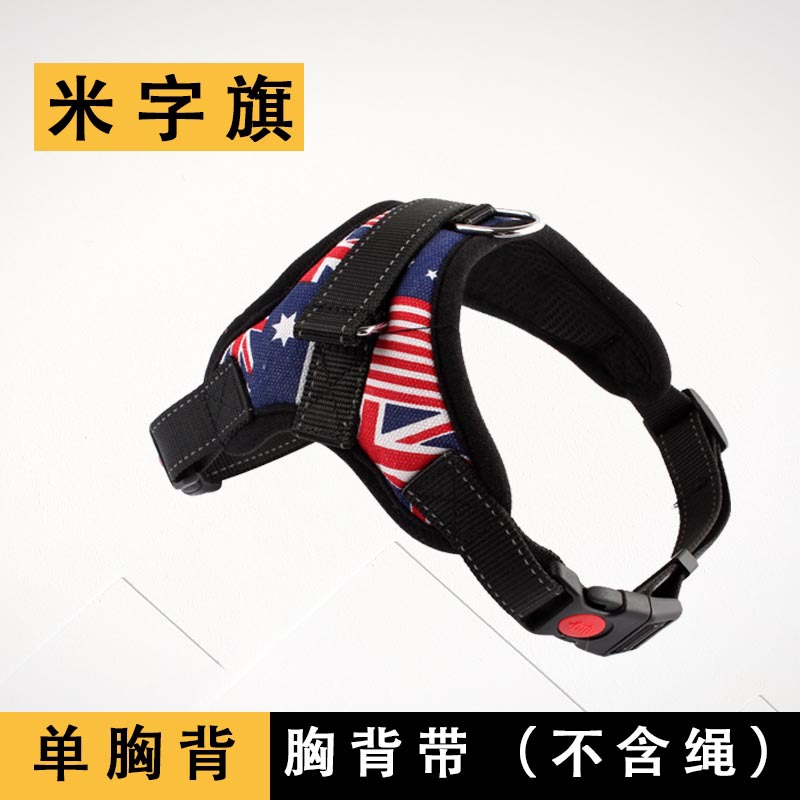 라이스 플래그 싱글 가슴 뒤