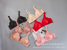 �¿�o�Ȧ�������������m�۔n�����Ứ���y�͋������¹��Sֱ�N