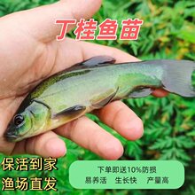 �ش󶡹��~�綡�F��횚q�~��ˮ��ˮ�Bֳʳ���ͺ������~�����l����