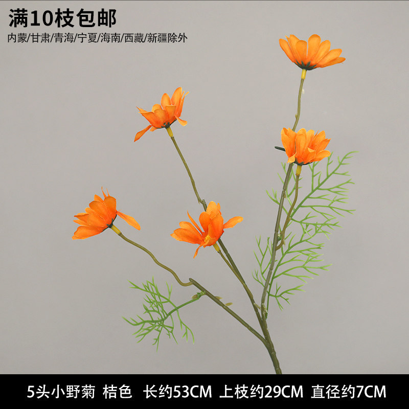 小野菊