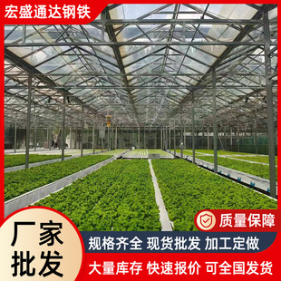 �r�I�������OӋ���b �����չ�ů�� ��ݮ�� ��Ĥ�߲˷Nֲ�����