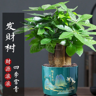 �¿�lؔ�����Ի��ܾGֲ���k���҃�����ȩ�͏d���B���UС��ʽ�辰