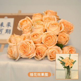 õ�廨�r���������������ֱ�l�ٺ����տ��t�������r��ˮ�B�彁��