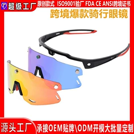 骑行眼镜;防弹眼镜;太阳镜