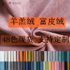 現貨羊羔絨富皮絨顆粒絨女裝外衣家居面料抱枕箱包小泰迪冰點絨