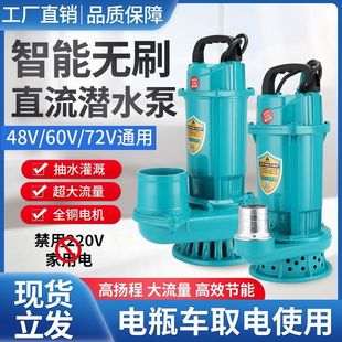 Brushless Intelligent Dc Submersible Pump 48V60V72V Universal Large Flow Electric Battery Car Water Pump Water Pump