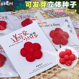 Graduation Season Gives You a Small Red Flower Stereo Seed Paper Kidsren Can Plant and Germinate Greeting Card Germination Paper Seed Card