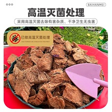 �M�ڴ��w��ɢ�bÓ�}��Ҭ��Ҭ��Ҭ�u͸��Nֲ�I�B�����ݰl�m��ֲ��