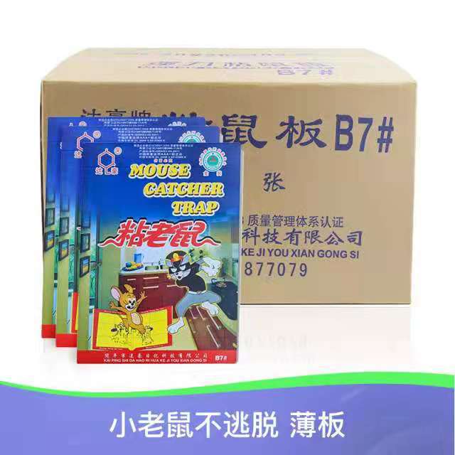 Dahao B7 household storage sticky mouse board, small mice do not escape thin board, convenient sticky mouse board, mouse sticker