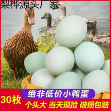 �����r����B�����rɢ�B�������l���r�r�ҾG��һ�����羳�S�����l