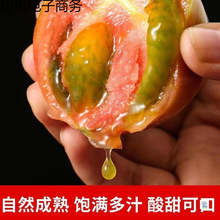 ���|�FƤ������Ʒ�N���t�����r��Ȼ��ˮ���G�뷬��������ɳȿ