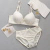 Set, champagne color